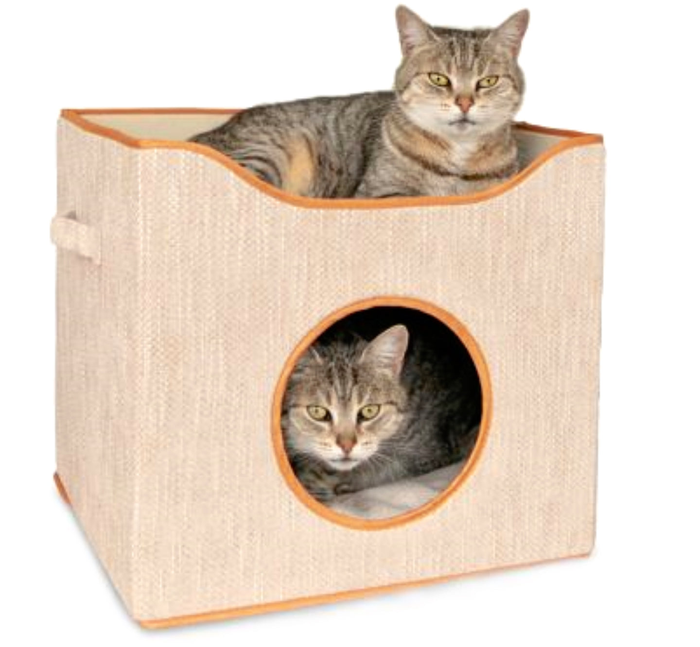 Cat Cubes